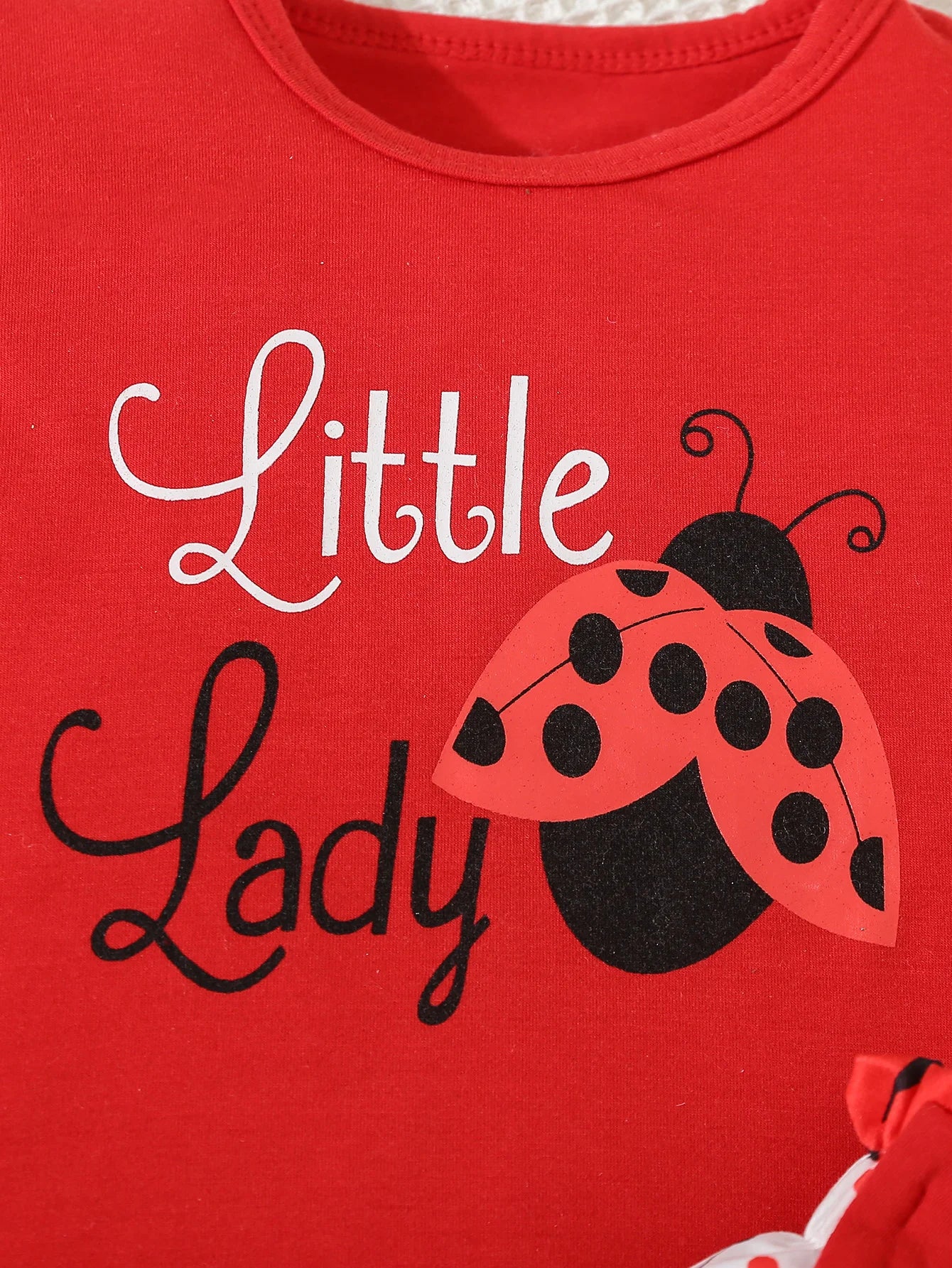 Girl's Ladybug Print Tee & Shorts Set